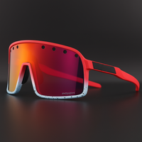 Glaciar Rojo